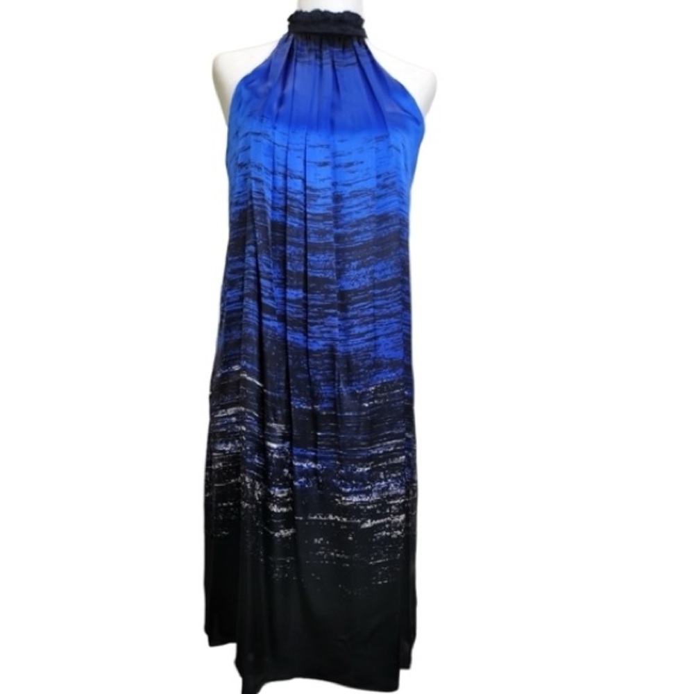 Zara Limited Edition 100% Silk Charmeuse Graphic Easy Dress